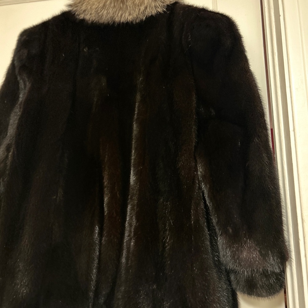 Mink - Picture 7 of 8